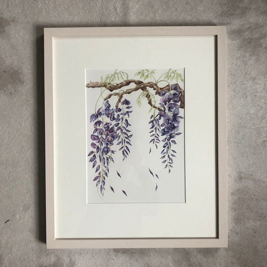 Wisteria Study Watercolour