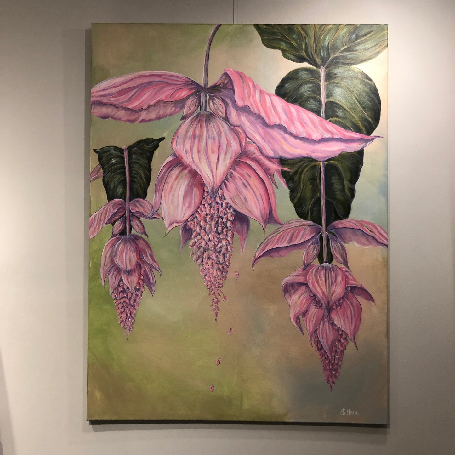 Giant Medinilla Magnifica Acrylic Painting