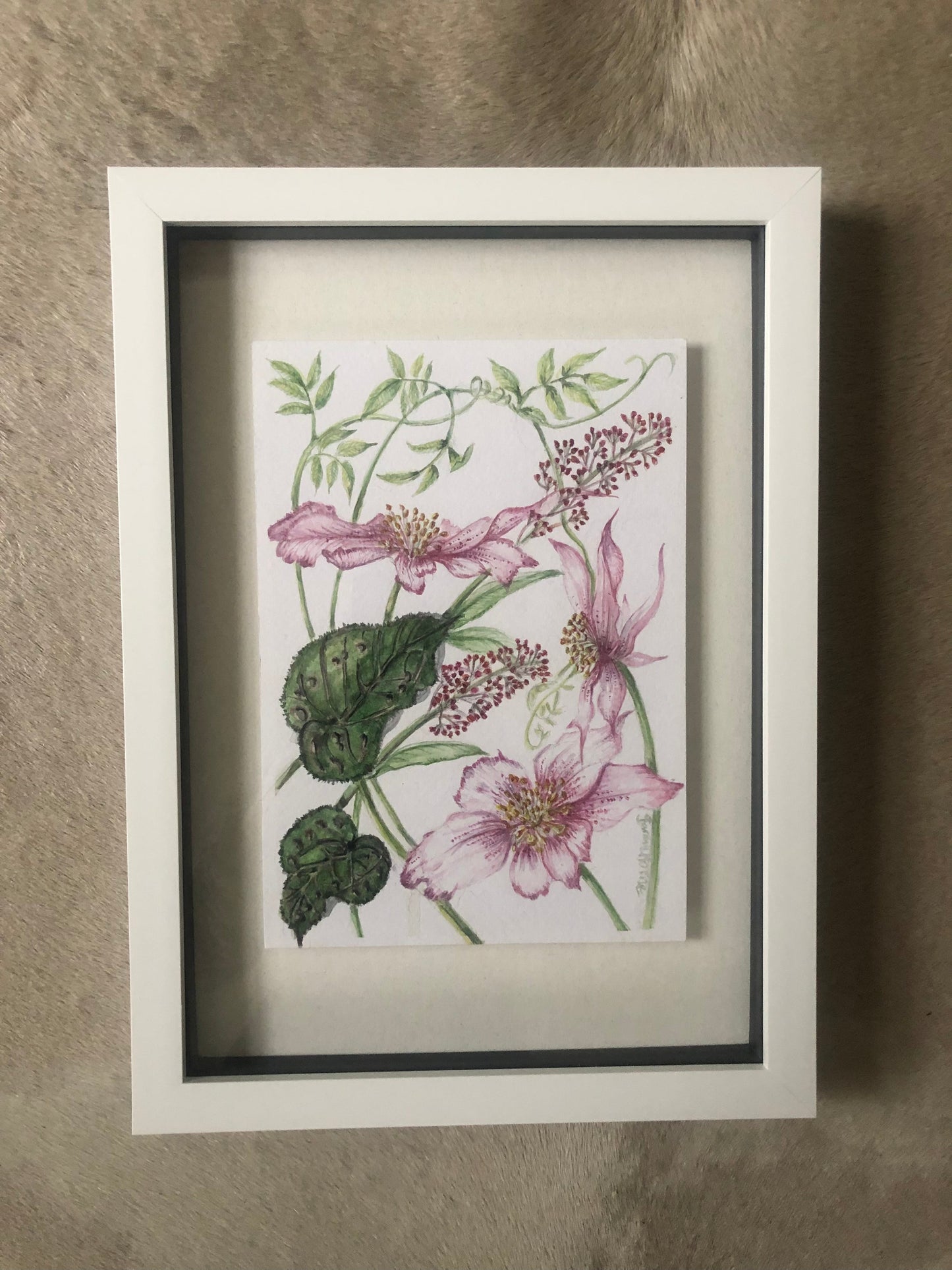 Pink Helleborus Watercolour SOLD