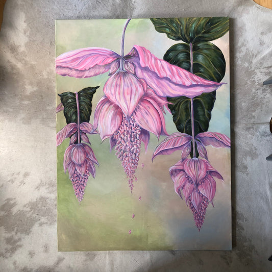 Giant Medinilla Magnifica Acrylic Painting