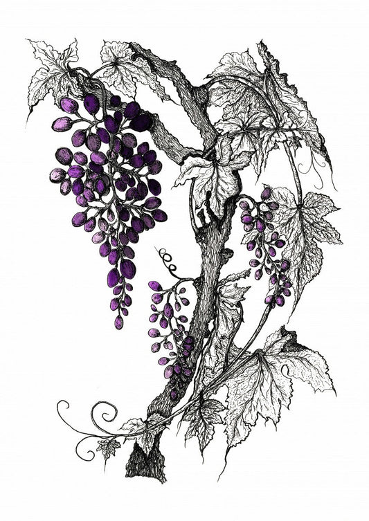 Grapevine Print in Purple